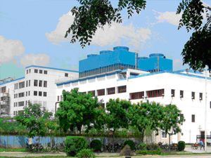 工廠(chǎng)展示